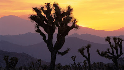 Los colores de nuestro planeta - The colors of our planet - Paisajes Naturales - Nature Landscapes