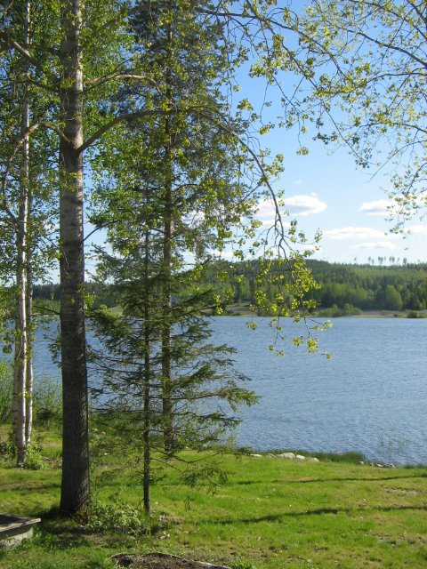 [IMG_0009.JPG]