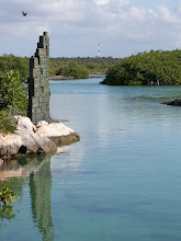 Snorkel Heaven!