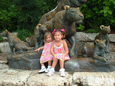 the San Antonio Zoo every