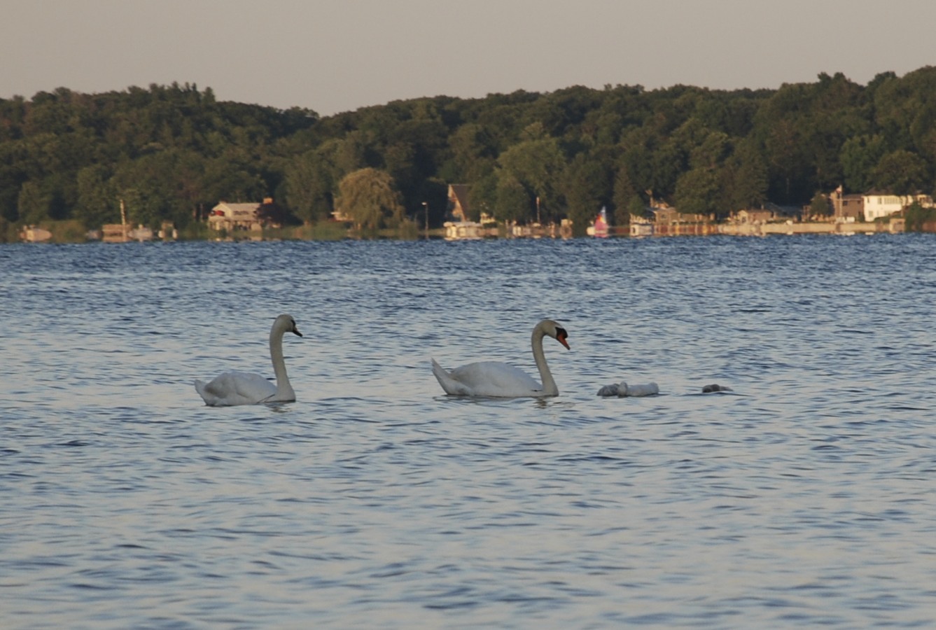 [DSC_0156.jpg]