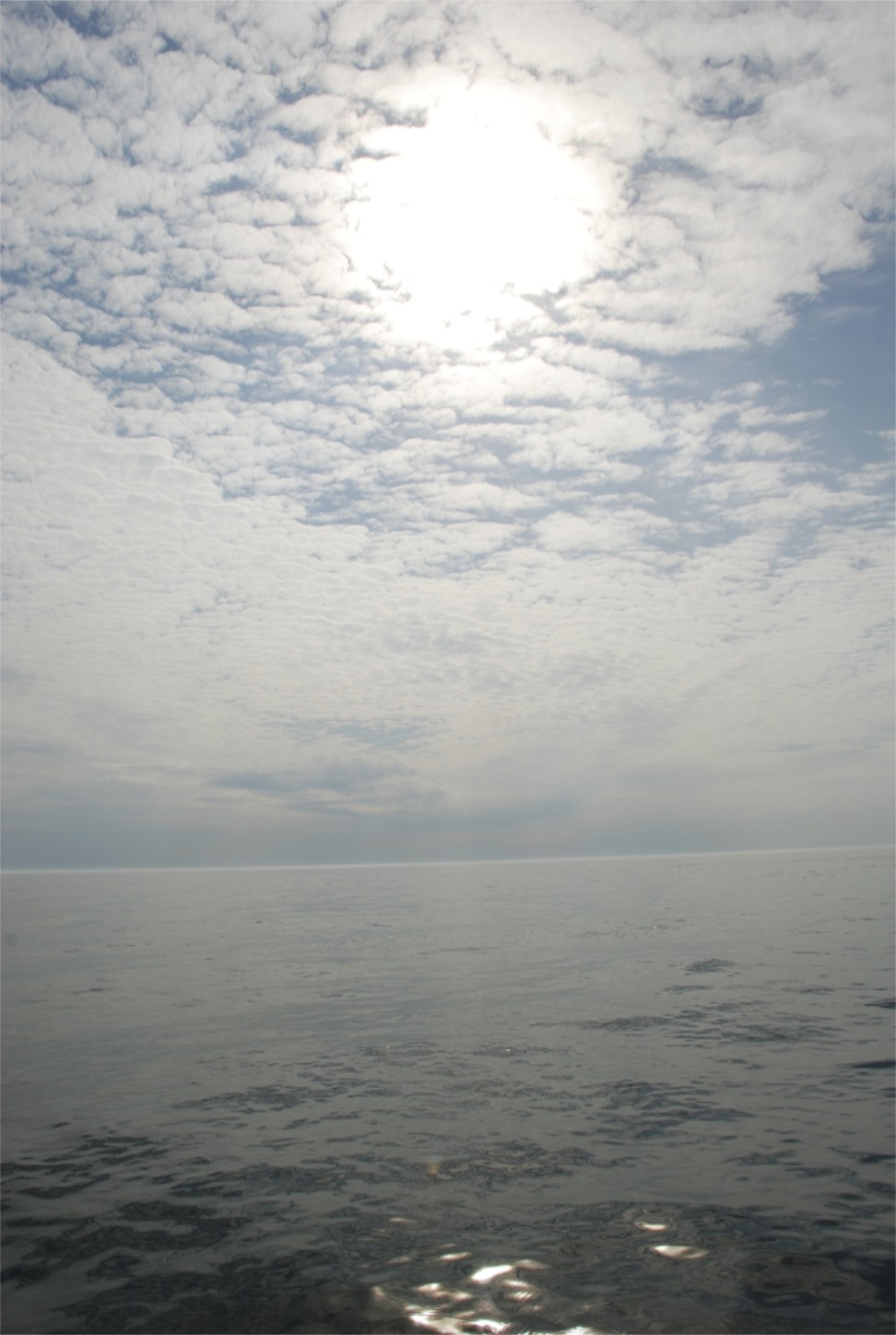 [DSC_0358.jpg]
