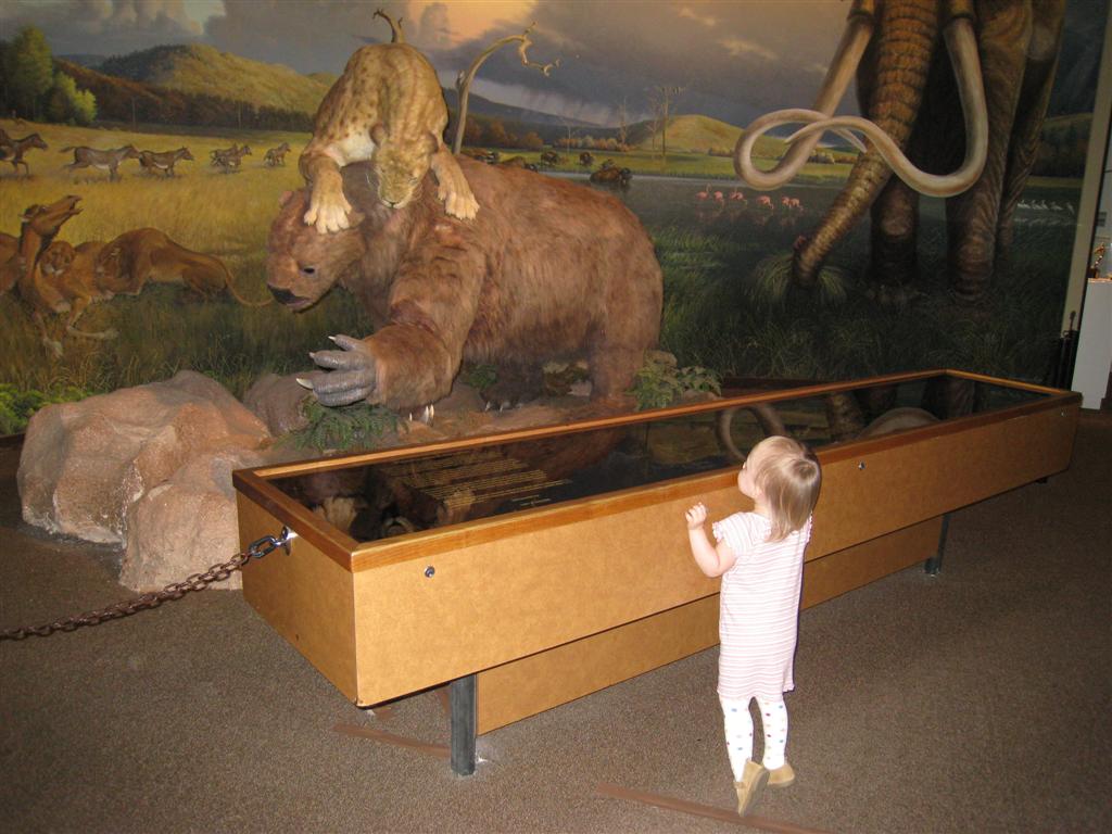 [IMG_4050+(Large).JPG]