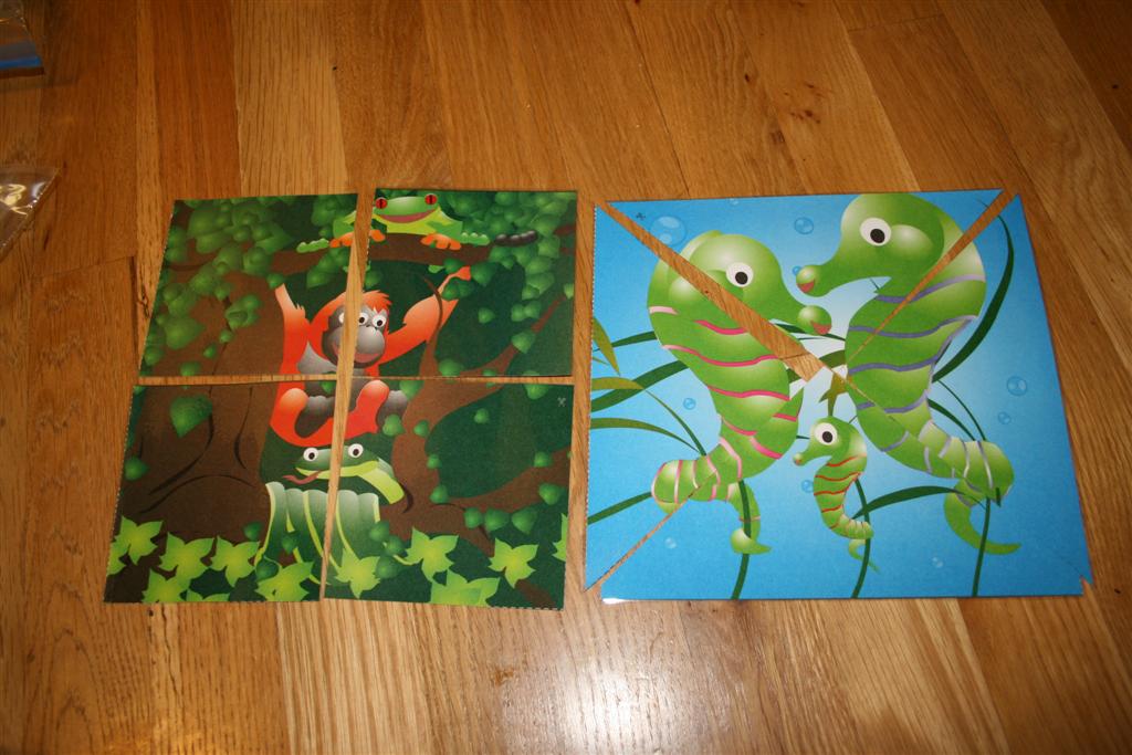 [IMG_8941+(Large).JPG]