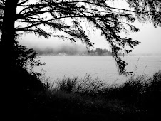 Devils Lake with Fog