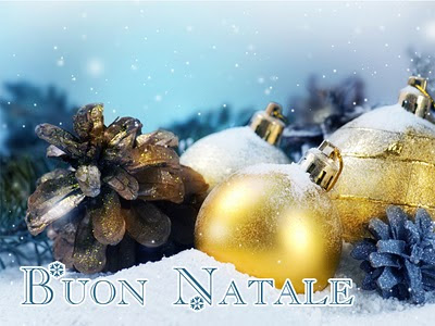 CANTIERE NAVALE GRUPPO FALDIS: Auguri di Natale