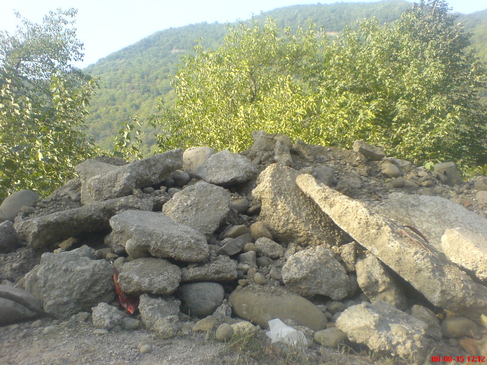 [DSC01211.JPG]