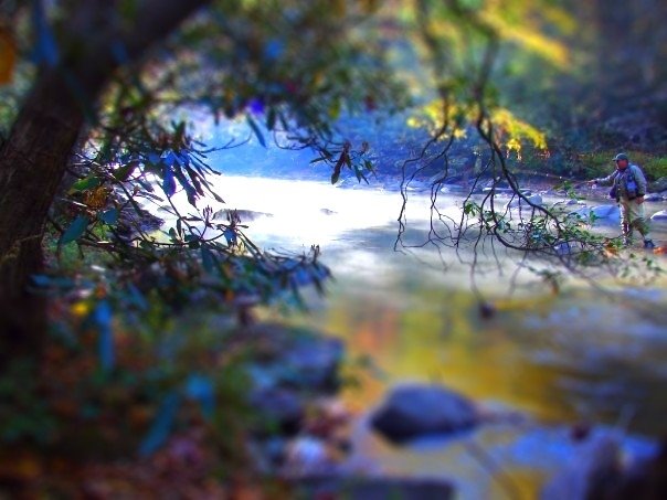[rumble-tiltshift[1].JPG]
