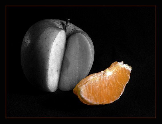 [laranja.bmp]