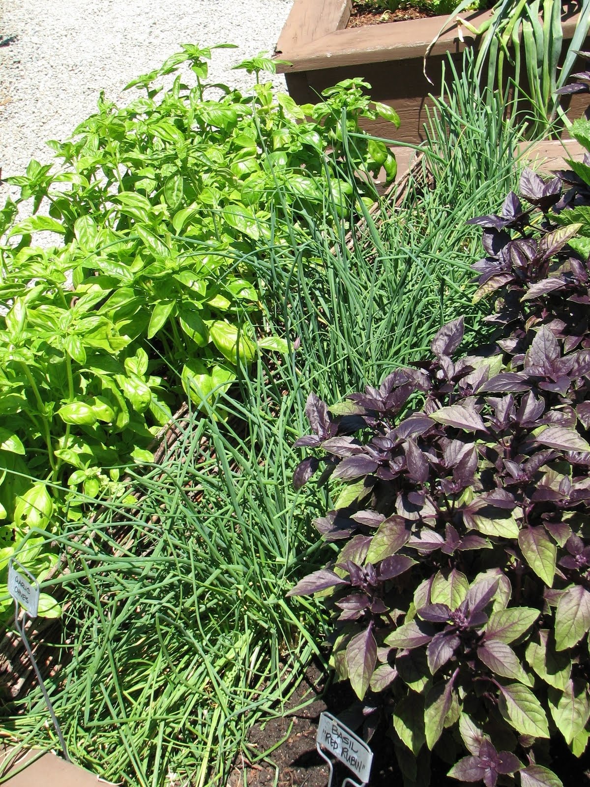 West Valley Branch Library Ucce Master Gardeners Growing