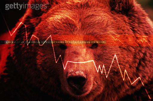 [bear+market+face.jpg]