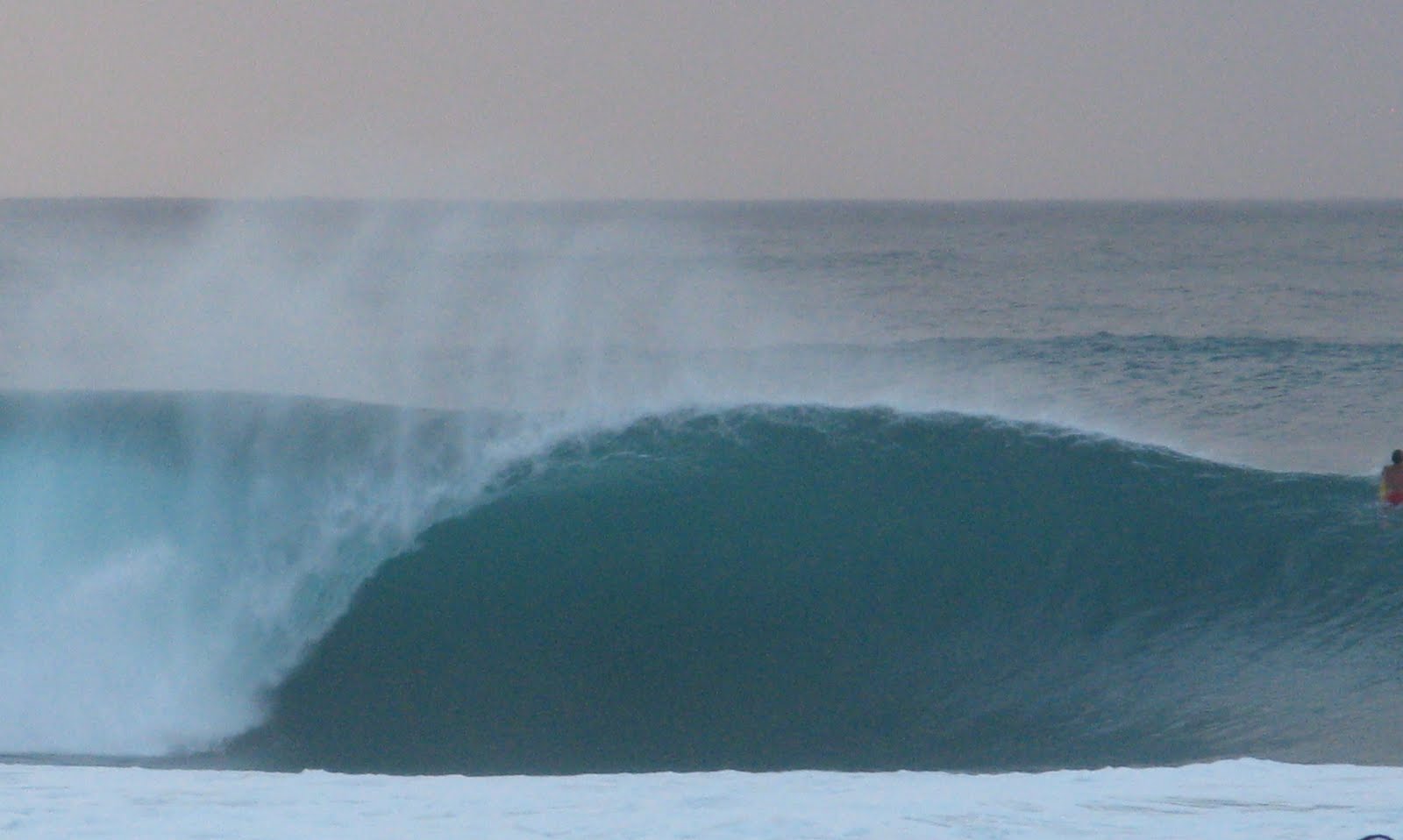 rencontre algerie ireland