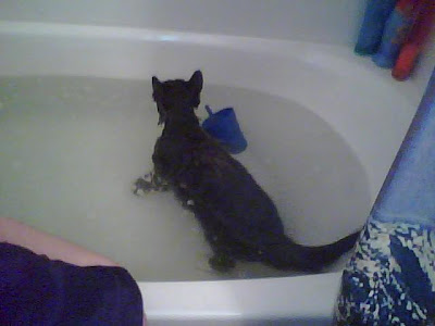 Sox Loved Baths