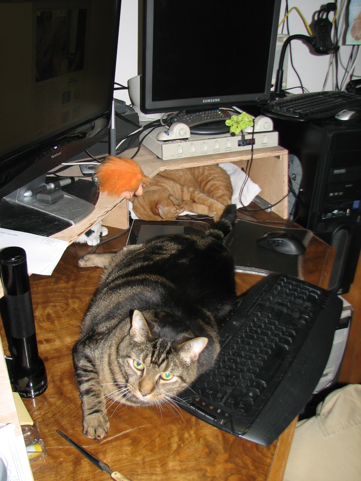 [6.21.09+004.jpg]