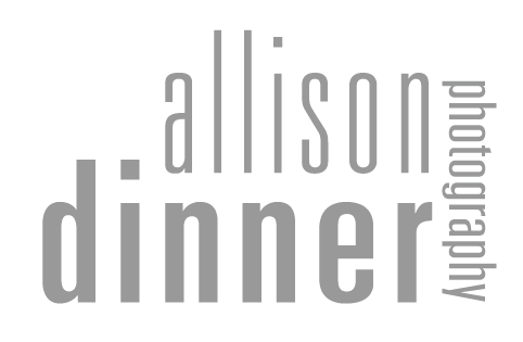 Allison Dinner Photography