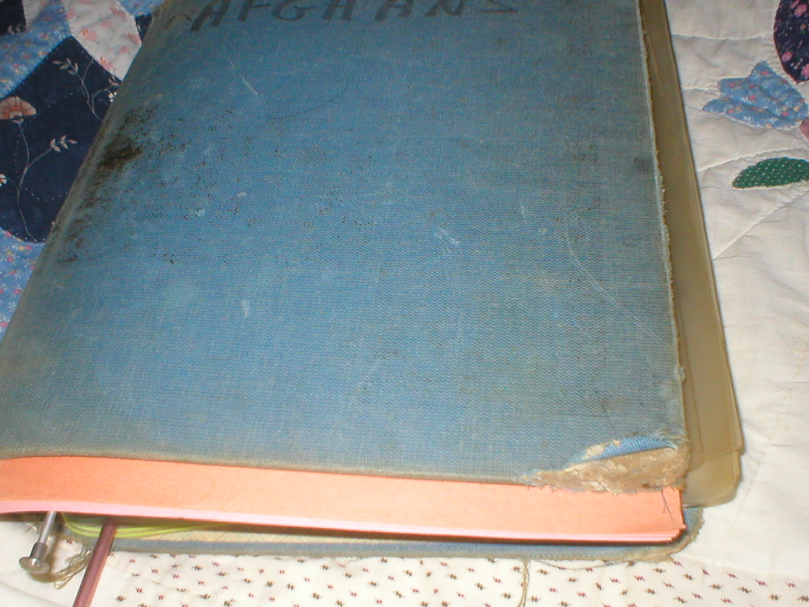 [P1010010.JPG]