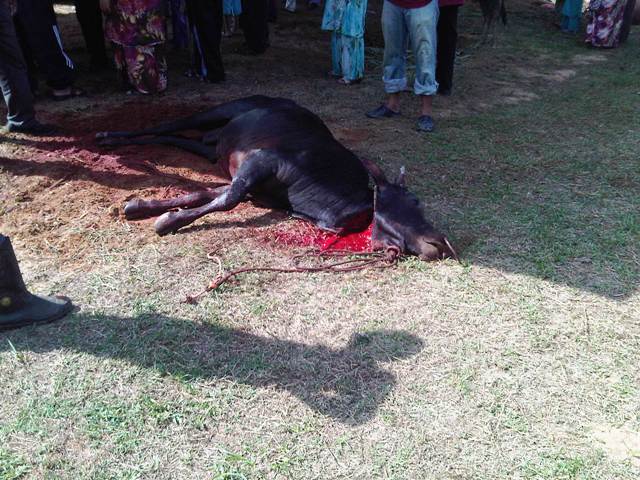 PAMBUNGAD NA PANANALITA SA PAGTATAPOS SA KINDER 2 - YouTube