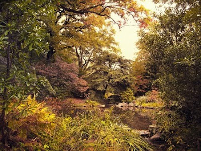 The Rock Garden by Jessica Jenney