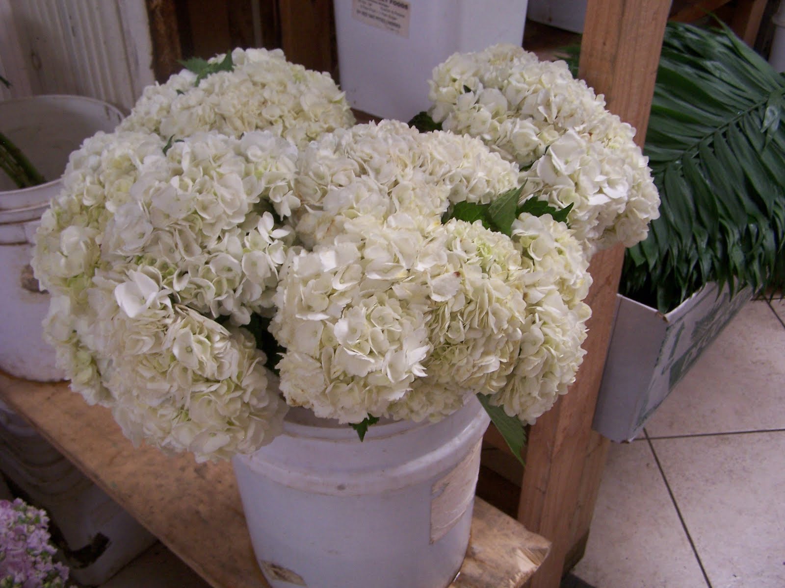 La Flower District