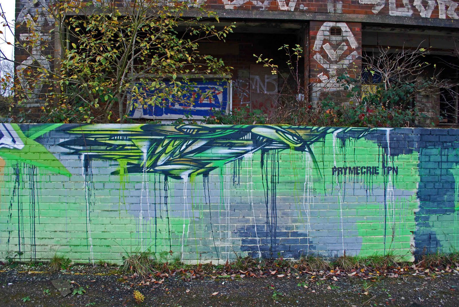 [Huncoat+outside+wall+-+Crie+1st+-+13.11.2009.JPG]