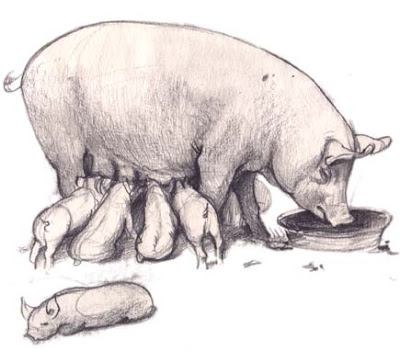 mama pig