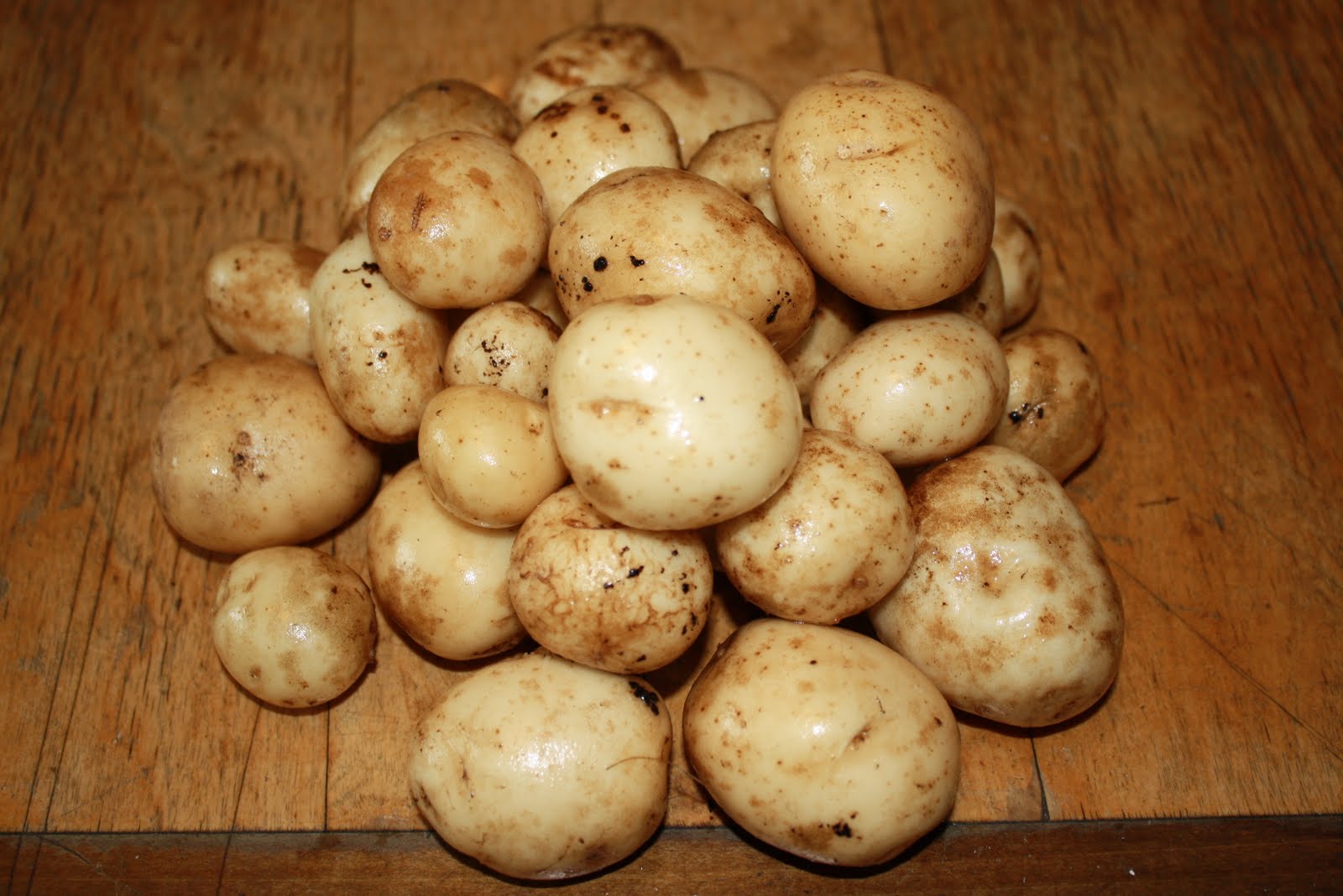 Allotment 65 Potato Yield comparison