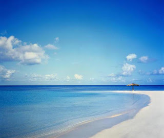 laut.jpg (360×304)