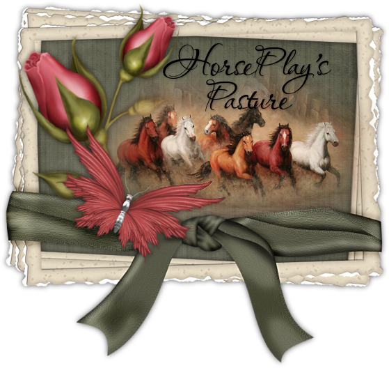 HorsePlaysPasture