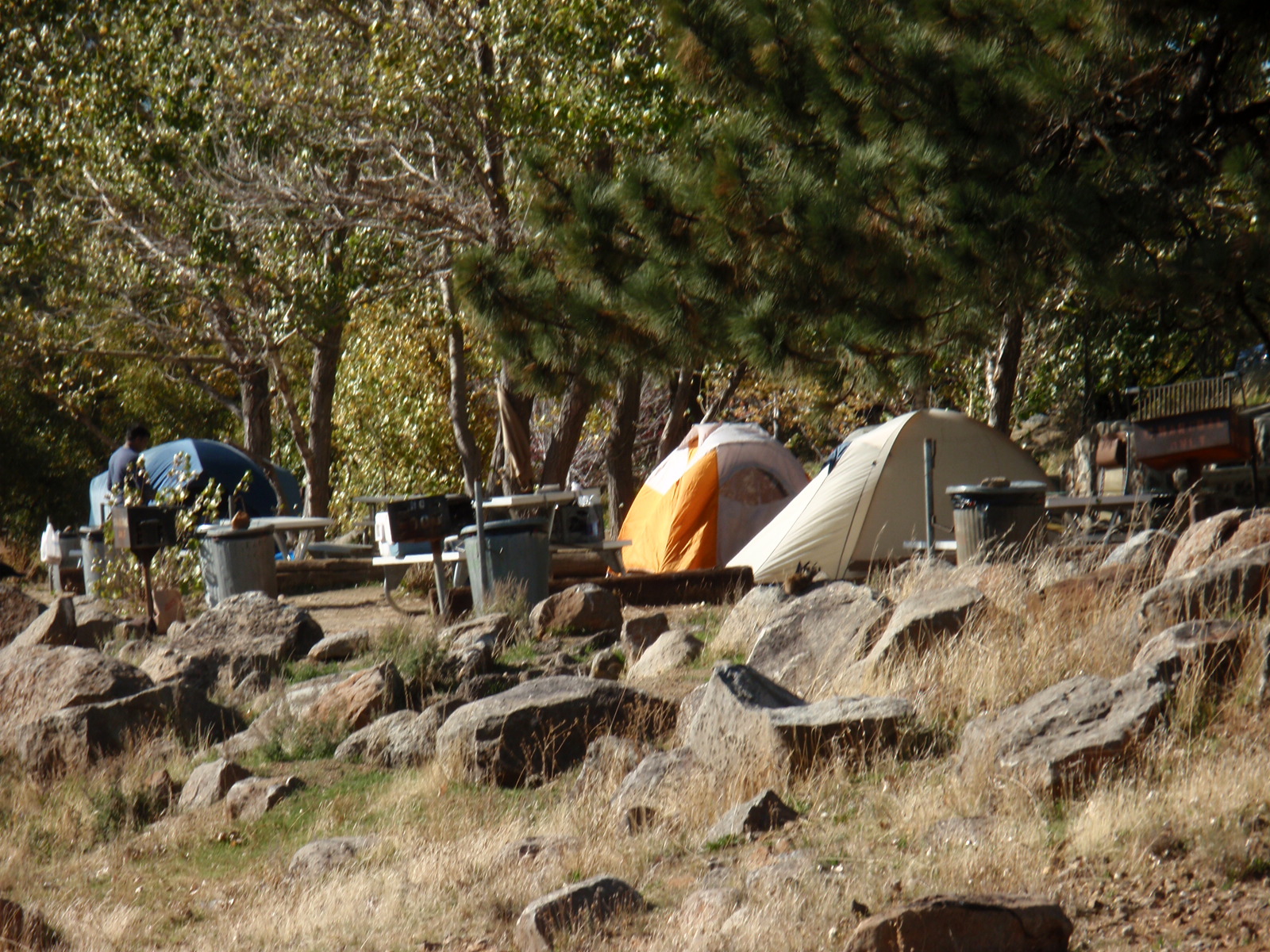 Me and My Dogand My RV Campgrounds by Julian, CA