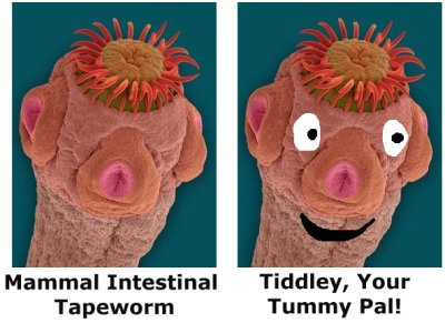 tapeworm stuffed animal