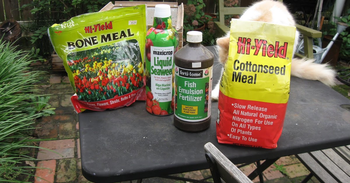 Bonsai Blogging Homemade Bonsai Fertilizer