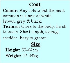 Big+dog+breeds+chart