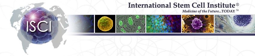 International Stem Cell Institute