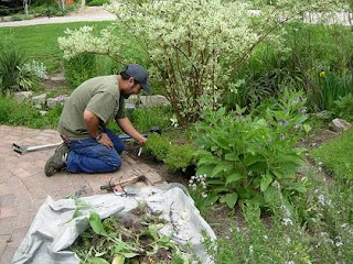 ΙΣΠΑΝΙΚΑ ΕΞ ΑΠΟΣΤΑΣΕΩΣ: CONSEJOS PARA CULTIVAR UN JARDÍN DE VERDURAS