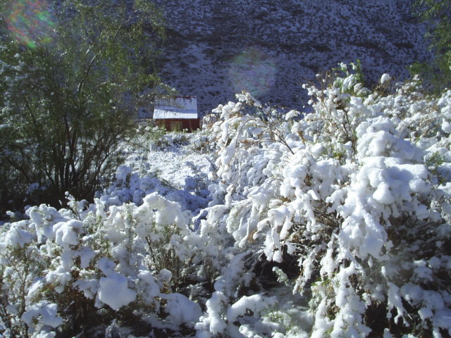 La nieve purifica estas tierras Magicas