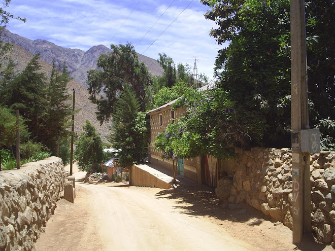 El poblado de Alcohuaz,Esta inserto en la Entrada a la Cordillera de Los Andes,con ancianos parajes