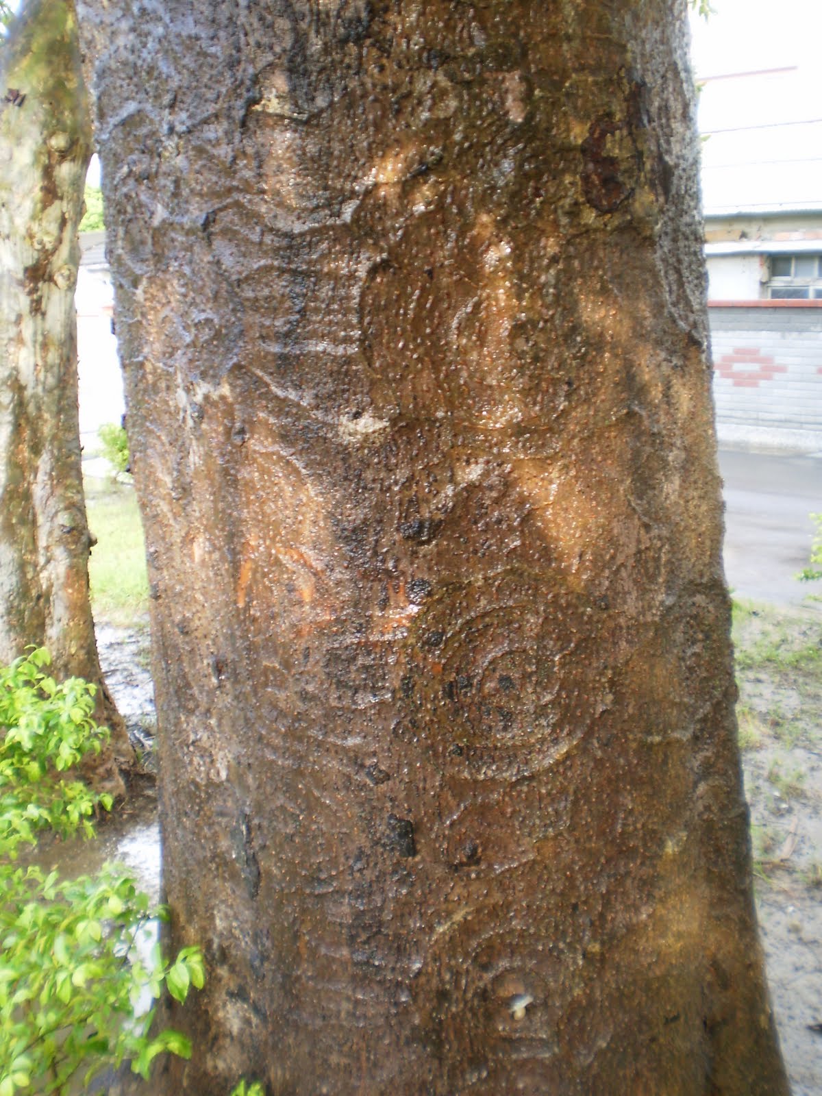 [PA110527.JPG]