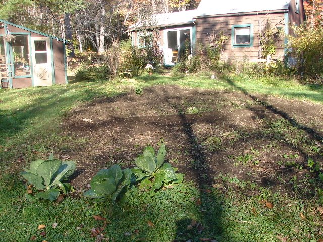 [DSC06428.JPG]