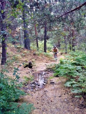 [06092009089.jpg]