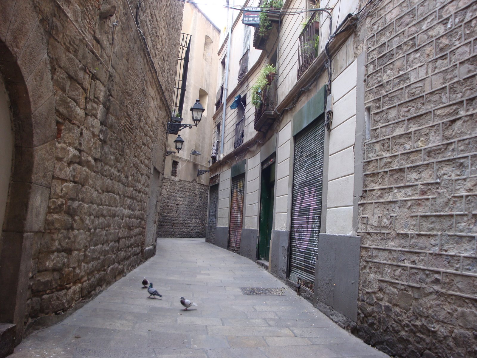 [DSC01401.JPG]