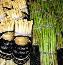 FotoC49Fraf113BeyazveyeC59FilkuC59Fkonmazlar