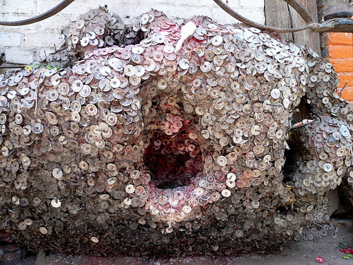 [toothache tree.jpg]