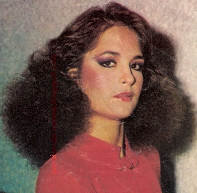 Venezuela un Paraíso de Reinas Historial de Venezuela en Miss