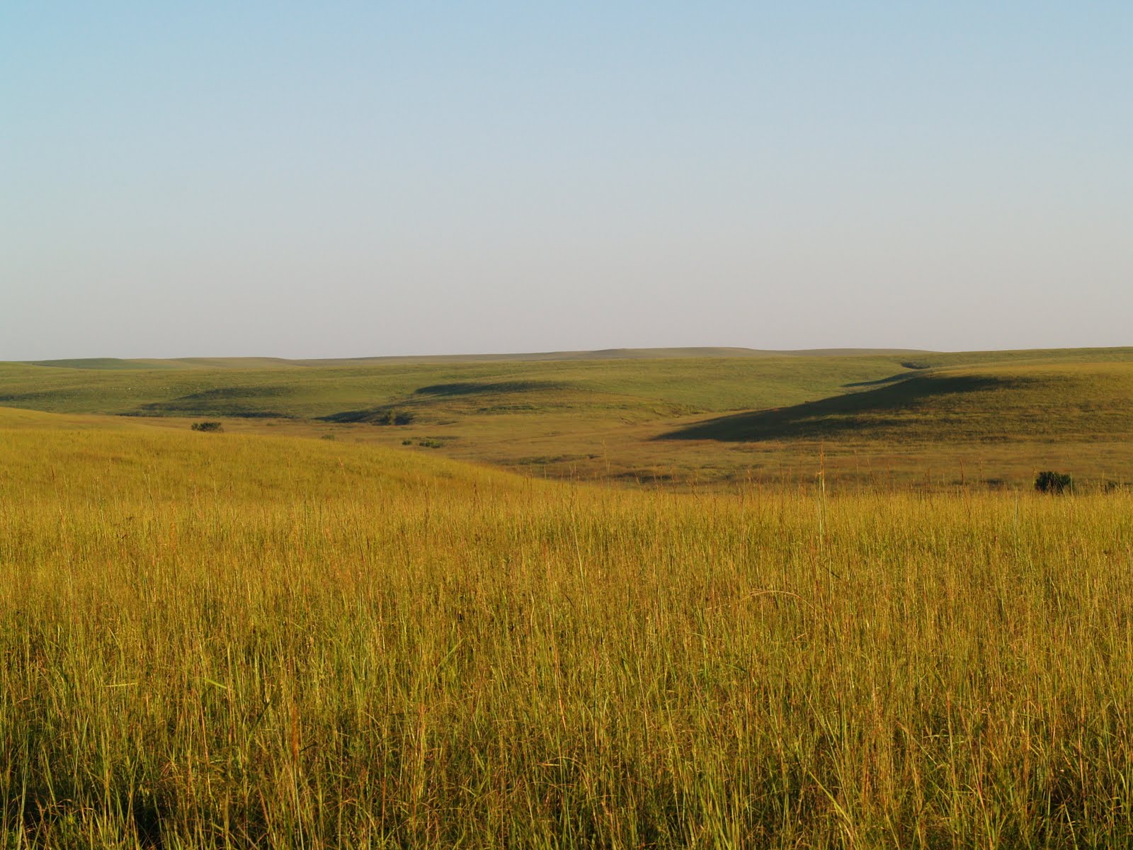 Prairie Poem Prairie Poem