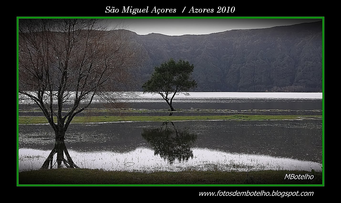 [IMG_5307ab.JPG]