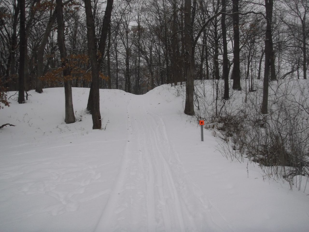 Kalamazoo Seasons: Prairie View County Park (Winter)
