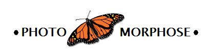 Photo Morphose