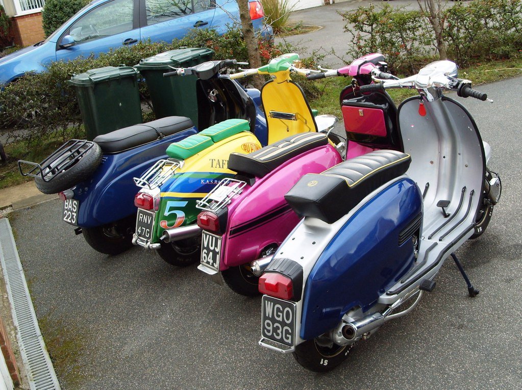 [scootsfeb20085.jpg]