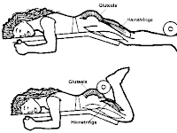Hamstring Diagram Hamstring Diagram