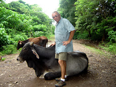 Pat and the Bull, Ometepe